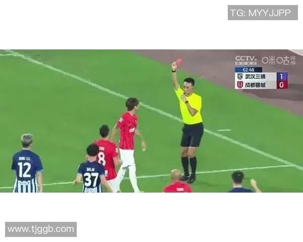 世界杯热刺小胜里昂红牌争议引发全场热议与激烈反响 世界杯热刺小胜里昂红牌争议引发全场热议与激烈反响