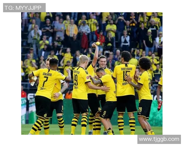 意甲赛场惊现冷门利物浦3-0战胜多特蒙德精彩瞬间回顾与十大进球解析